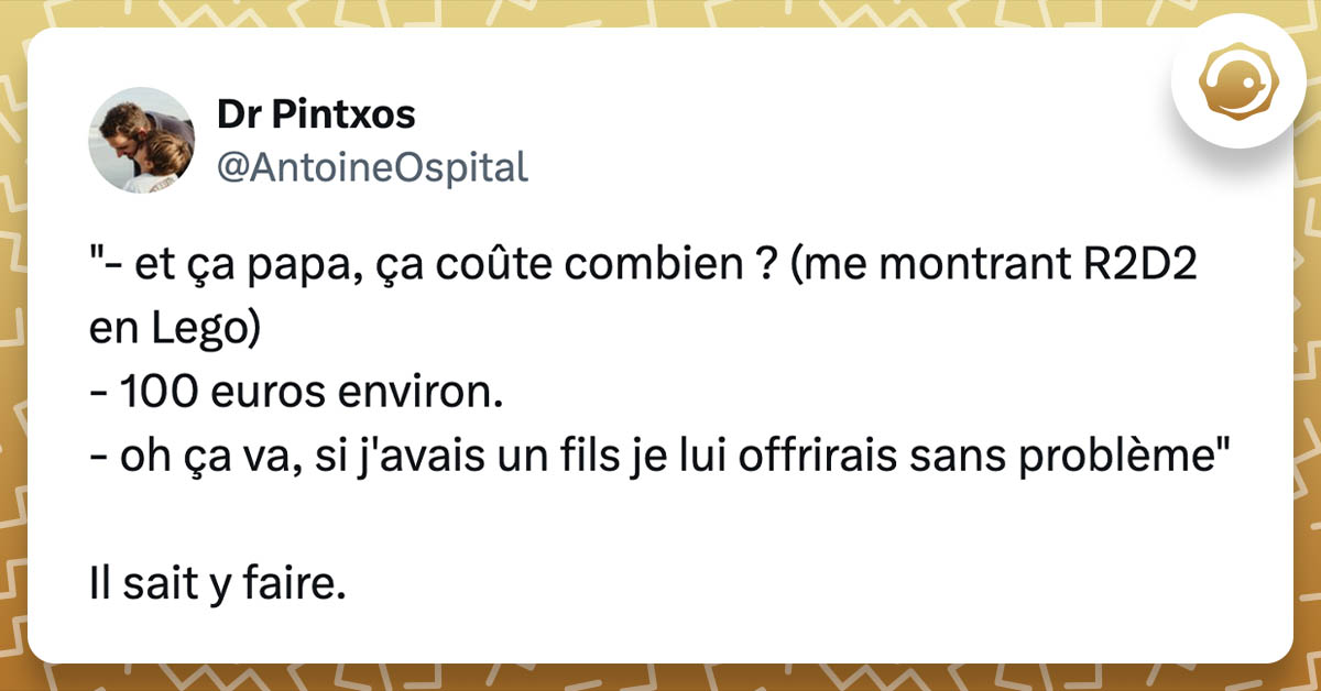 tweet de AntoineOspital : "- et ça papa, ça coûte combien ? (me montrant R2D2 en Lego) - 100 euros environ. - oh ça va, si j'avais un fils je lui offrirais sans problème" Il sait y faire.