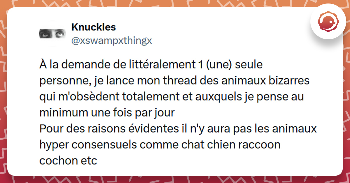 Tweet liseré de rouge de @xswampxthingx disant "À la demande de littéralement 1 (une) seule personne, je lance mon thread des animaux bizarres qui m'obsèdent totalement et auxquels je pense au minimum une fois par jour Pour des raisons évidentes il n'y aura pas les animaux hyper consensuels comme chat chien raccoon cochon etc"