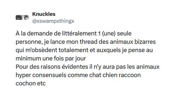 Image de couverture de l'article : Liste de mes animaux bizarres préférés