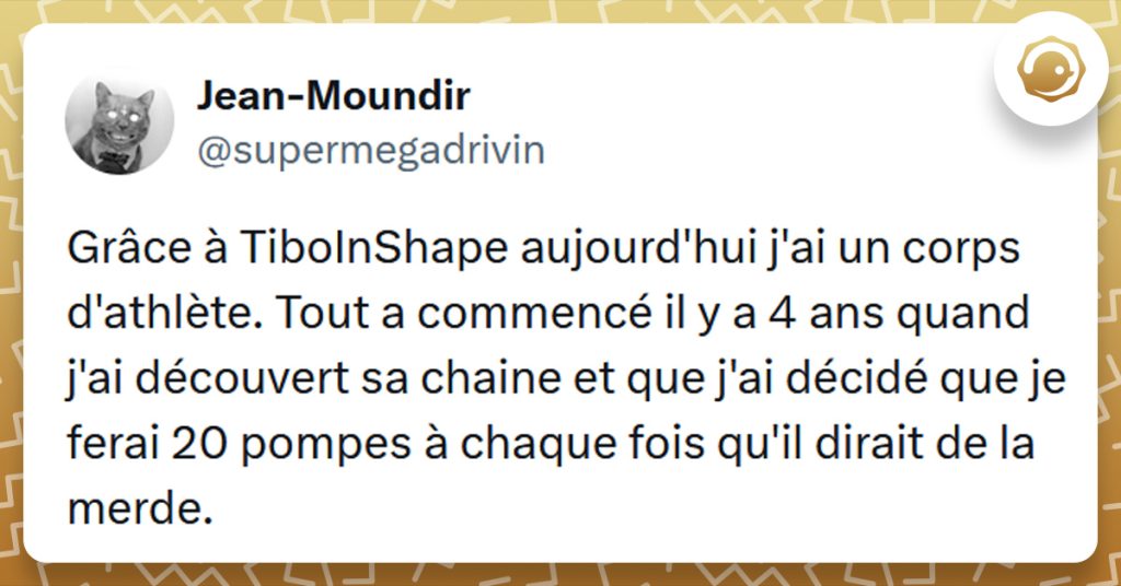 Tweet liseré de jaune de @supermegadrivin disant "Grâce à TiboInShape aujourd'hui j'ai un corps d'athlète. Tout a commencé il y a 4 ans quand j'ai découvert sa chaine et que j'ai décidé que je ferai 20 pompes à chaque fois qu'il dirait de la merde."