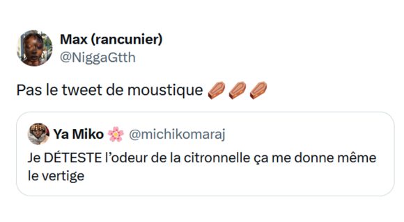 Image de couverture de l'article : Top 15 des meilleurs tweets sur les moustiques, ils sont de retour !