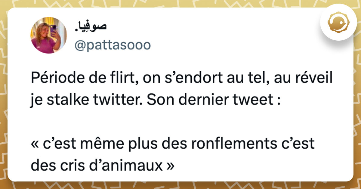 Tweet de @pattasooo : "Période de flirt, on s’endort au tel, au réveil je stalke twitter. Son dernier tweet : « c’est même plus des ronflements c’est des cris d’animaux »"