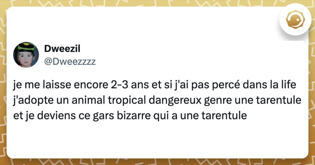 Tweet de @dweezzzz : "je me laisse encore 2-3 ans et si j'ai pas percé dans la life j'adopte un animal tropical dangereux genre une tarentule et je deviens ce gars bizarre qui a une tarentule"