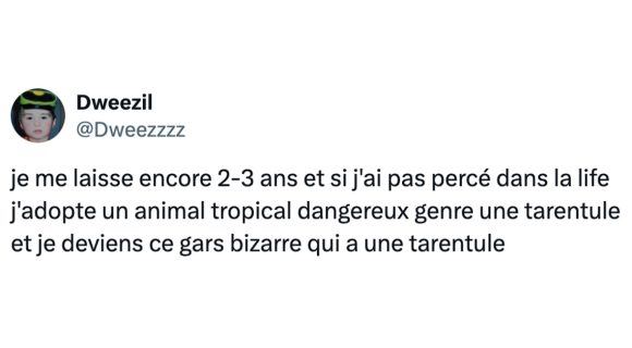 Image de couverture de l'article : Bizarre, vous avez dit bizarre ? Les 15 tweets les plus perchés de la semaine, épisode 40