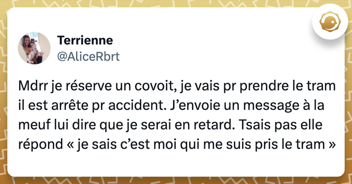 Tweet de @AliceRbrt : "Mdrr je réserve un covoit, je vais pr prendre le tram il est arrête pr accident. J’envoie un message à la meuf lui dire que je serai en retard. Tsais pas elle répond « je sais c’est moi qui me suis pris le tram »"