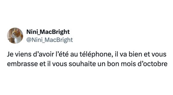 Image de couverture de l'article : Top 15 des meilleurs tweets sur l’été, on dirait pas mais il est là !