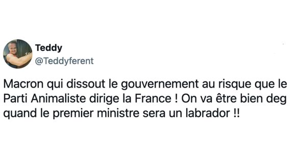 Image de couverture de l'article : La dissolution de l’Assemblée Nationale… et après ?