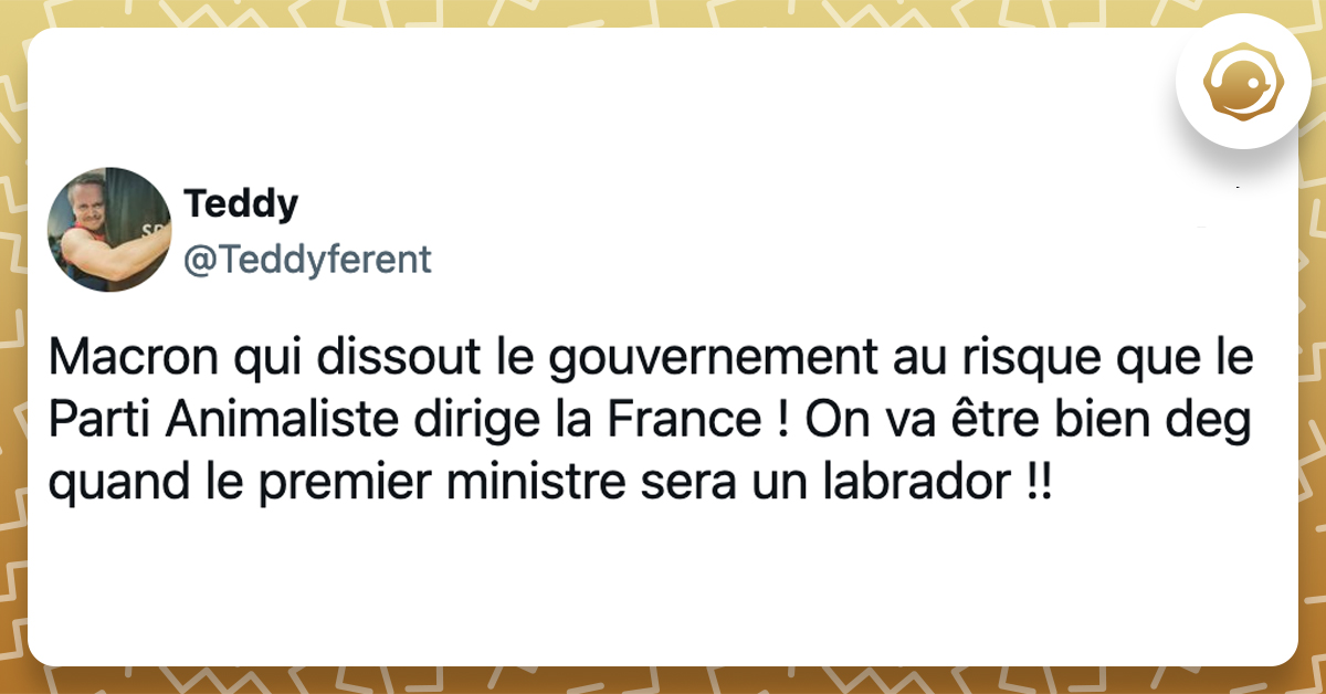 @Teddyferent Macron qui dissout le gouvernement au risque que le Parti Animaliste dirige la France ! On va être bien deg quand le premier ministre sera un labrador !!
