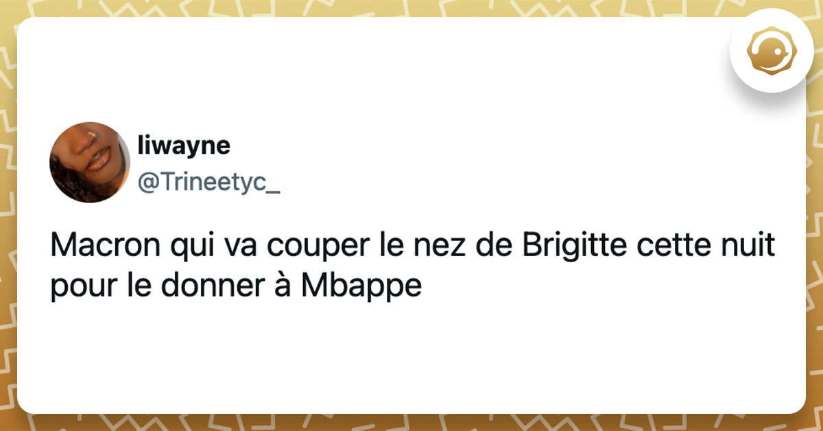 @Trineetyc_ Macron qui va couper le nez de Brigitte cette nuit pour le donner à Mbappe