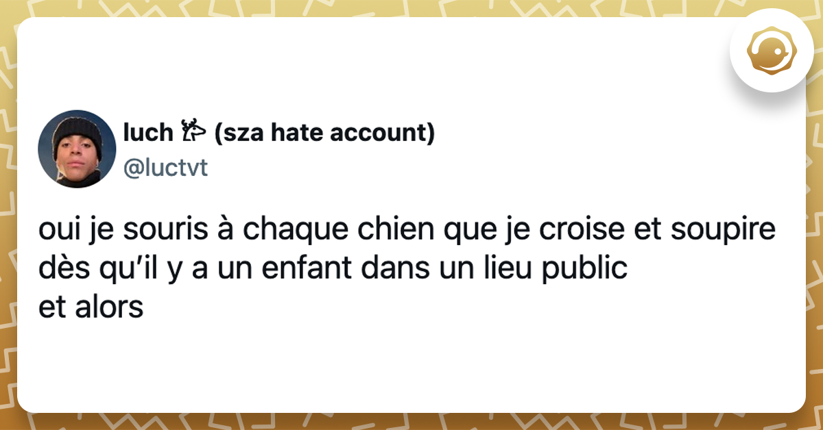 @luctvt oui je souris à chaque chien que je croise et soupire dès qu’il y a un enfant dans un lieu public et alors