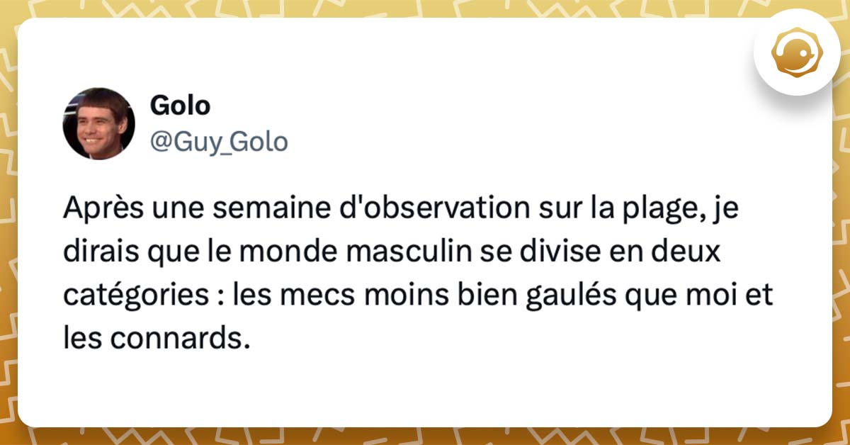 @Guy_Golo Après une semaine d'observation sur la plage, je dirais que le monde masculin se divise en deux catégories : les mecs moins bien gaulés que moi et les connards.