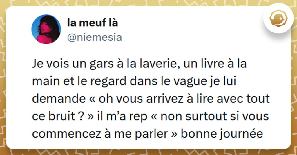 Tweet liseré de jaune de @niemesia disant "Je vois un gars à la laverie, un livre à la main et le regard dans le vague je lui demande « oh vous arrivez à lire avec tout ce bruit ? » il m’a rep « non surtout si vous commencez à me parler » bonne journée"