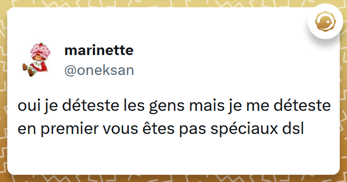 Tweet liseré de jaune de @oneksan disant "oui je déteste les gens mais je me déteste en premier vous êtes pas spéciaux dsl"