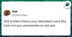 Tweet liseré de vert de @3biscottes disant "20€ le billet d’avion pour Marrakech peut être c’est moi aux commandes on sait pas"