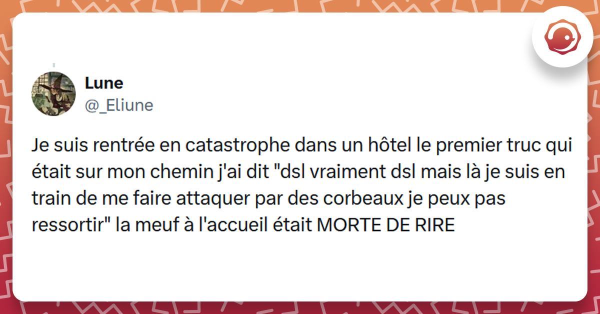 Tweet liseré d'orange de @_Eliune disant "Je suis rentrée en catastrophe dans un hôtel le premier truc qui était sur mon chemin j'ai dit "dsl vraiment dsl mais là je suis en train de me faire attaquer par des corbeaux je peux pas ressortir" la meuf à l'accueil était MORTE DE RIRE"