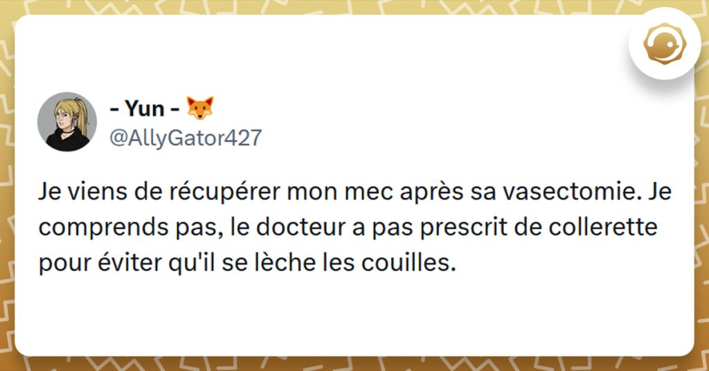 Tweet liseré de jaune de @AllyGator427 disant "Je viens de récupérer mon mec après sa vasectomie. Je comprends pas, le docteur a pas prescrit de collerette pour éviter qu'il se lèche les couilles."