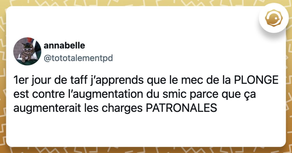 @tototalementpd 1er jour de taff j’apprends que le mec de la PLONGE est contre l’augmentation du smic parce que ça augmenterait les charges PATRONALES