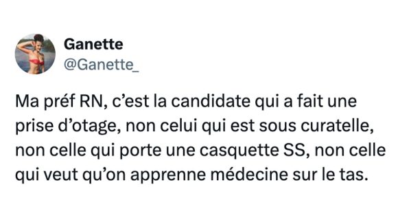 Image de couverture de l'article : Énorme surprise : les candidats RN aux législatives sont racistes !