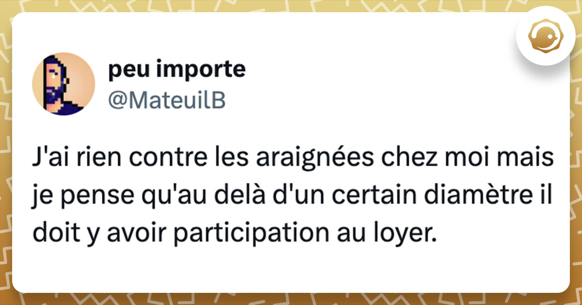 Tweet de @MateuilB : "J'ai rien contre les araignées chez moi mais je pense qu'au delà d'un certain diamètre il doit y avoir participation au loyer."