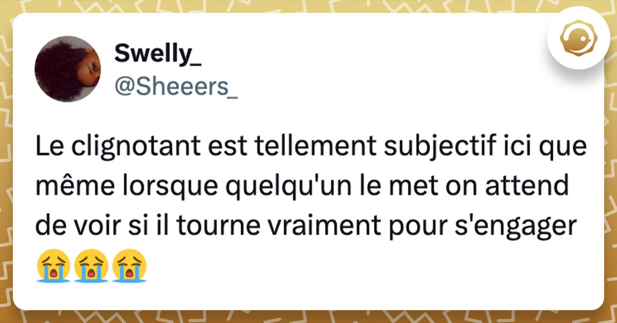 Tweet de @sheeers_ : "Le clignotant est tellement subjectif ici que même lorsque quelqu'un le met on attend de voir si il tourne vraiment pour s'engager😭😭😭"