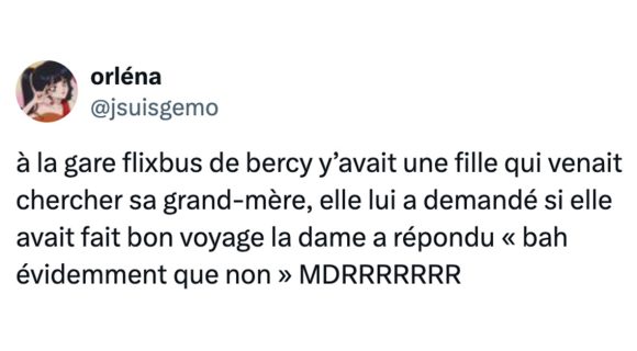 Image de couverture de l'article : Top 15 des meilleurs tweets sur FlixBus, pire moyen de transport