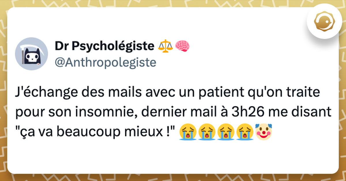 Tweet de @anthropolegiste : "J'échange des mails avec un patient qu'on traite pour son insomnie, dernier mail à 3h26 me disant "ça va beaucoup mieux !" 😭😭😭😭🤡"