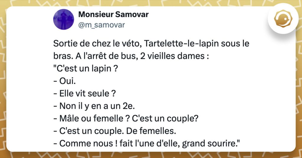 Tweet de @m_samovar : "Sortie de chez le v&eacute;to, Tartelette-le-lapin sous le bras. A l'arr&ecirc;t de bus, 2 vieilles dames : "C'est un lapin ? - Oui. - Elle vit seule ? - Non il y en a un 2e. - M&acirc;le ou femelle ? C'est un couple? - C'est un couple. De femelles. - Comme nous ! fait l'une d'elle, grand sourire.""