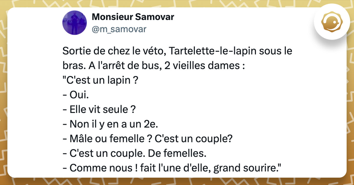 Tweet de @m_samovar : "Sortie de chez le véto, Tartelette-le-lapin sous le bras. A l'arrêt de bus, 2 vieilles dames : "C'est un lapin ? - Oui. - Elle vit seule ? - Non il y en a un 2e. - Mâle ou femelle ? C'est un couple? - C'est un couple. De femelles. - Comme nous ! fait l'une d'elle, grand sourire.""