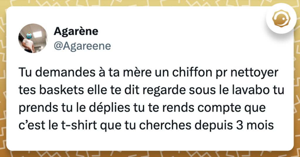 Tweet de @agareene : "Tu demandes à ta mère un chiffon pr nettoyer tes baskets elle te dit regarde sous le lavabo tu prends tu le déplies tu te rends compte que c’est le t-shirt que tu cherches depuis 3 mois"