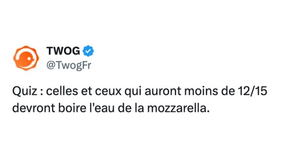 Image de couverture de l'article : Quiz : 15 questions de culture générale #313