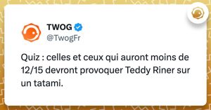 @Twogfr : Quiz : celles et ceux qui auront moins de 12/15 devront provoquer Teddy Riner sur un tatami.