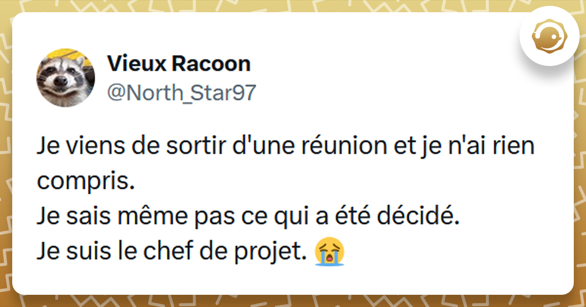 Tweet liseré de jaune de @North_Star97 disant "Je viens de sortir d'une réunion et je n'ai rien compris. Je sais même pas ce qui a été décidé. Je suis le chef de projet."