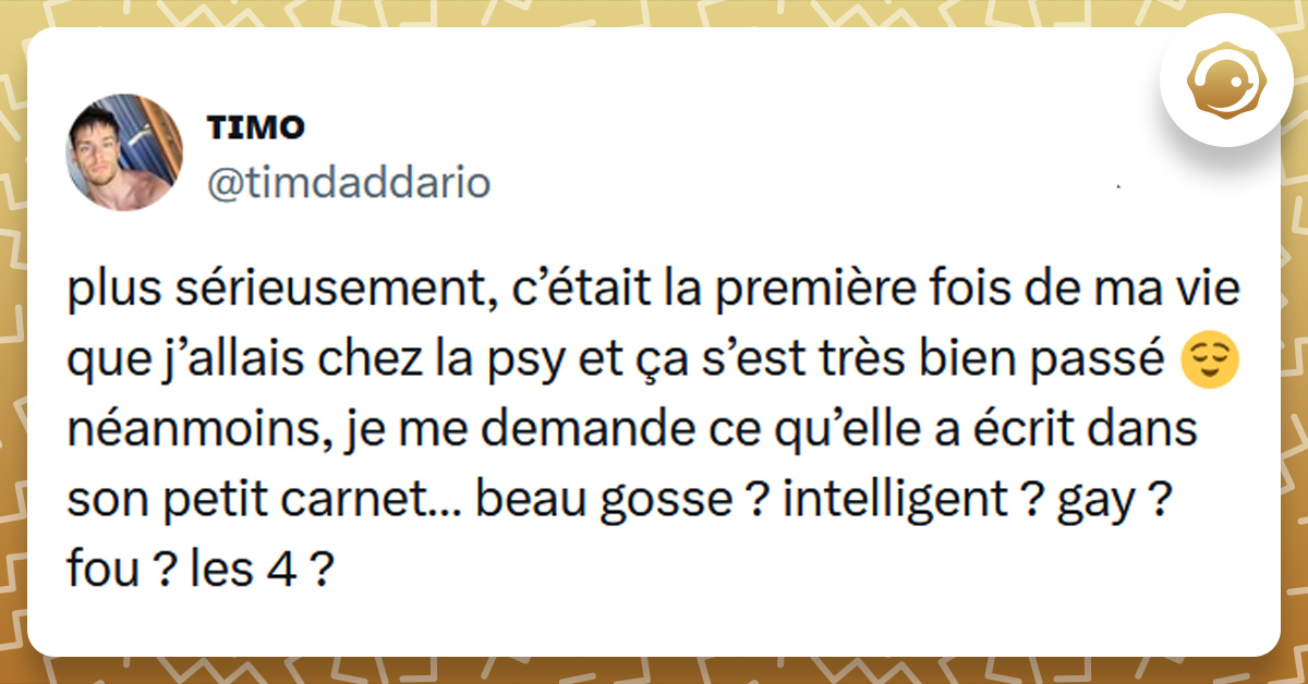 Tweet liseré de jaune de @timdaddario disant "plus sérieusement, c’était la première fois de ma vie que j’allais chez la psy et ça s’est très bien passé 😌 néanmoins, je me demande ce qu’elle a écrit dans son petit carnet… beau gosse ? intelligent ? gay ? fou ? les 4 ?"