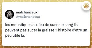 Tweet liseré de jaune de @maIchanceux disant "les moustiques au lieu de sucer le sang ils peuvent pas sucer la graisse ? histoire d'être un peu utile là."