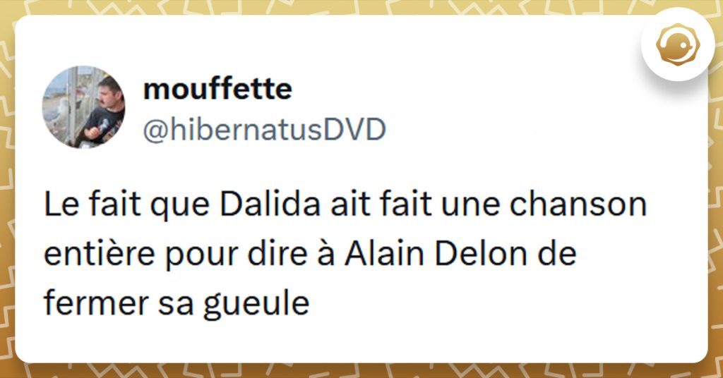 Tweet liseré de jaune de @hibernatusDVD disant "Le fait que Dalida ait fait une chanson entière pour dire à Alain Delon de fermer sa gueule"