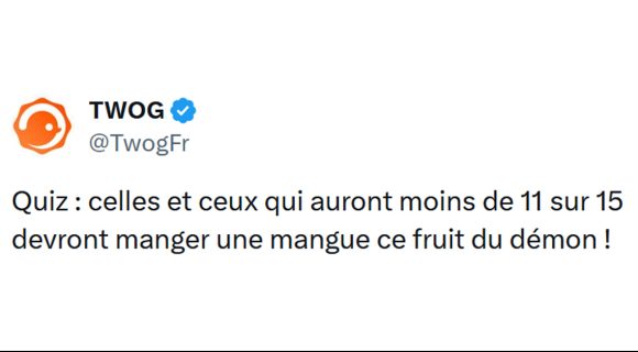 Image de couverture de l'article : Quiz : 15 questions de culture générale #336