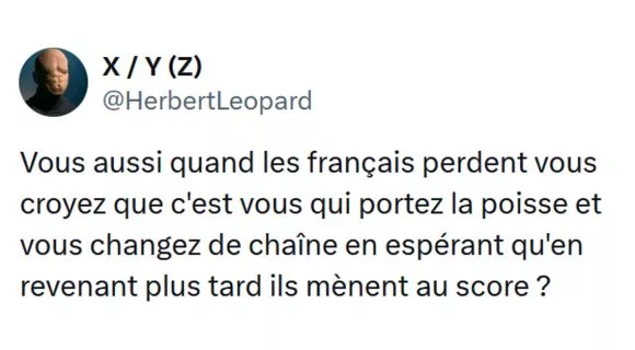 Image de couverture de l'article : Top 15 des meilleurs tweets de @HerbertLeopard