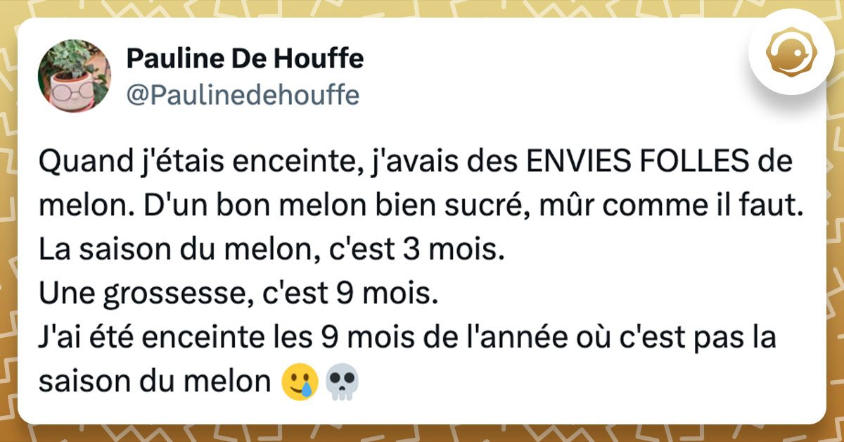 Tweet de @Paulinedehouffe : "Quand j'étais enceinte, j'avais des ENVIES FOLLES de melon. D'un bon melon bien sucré, mûr comme il faut. La saison du melon, c'est 3 mois. Une grossesse, c'est 9 mois. J'ai été enceinte les 9 mois de l'année où c'est pas la saison du melon 🥲💀"