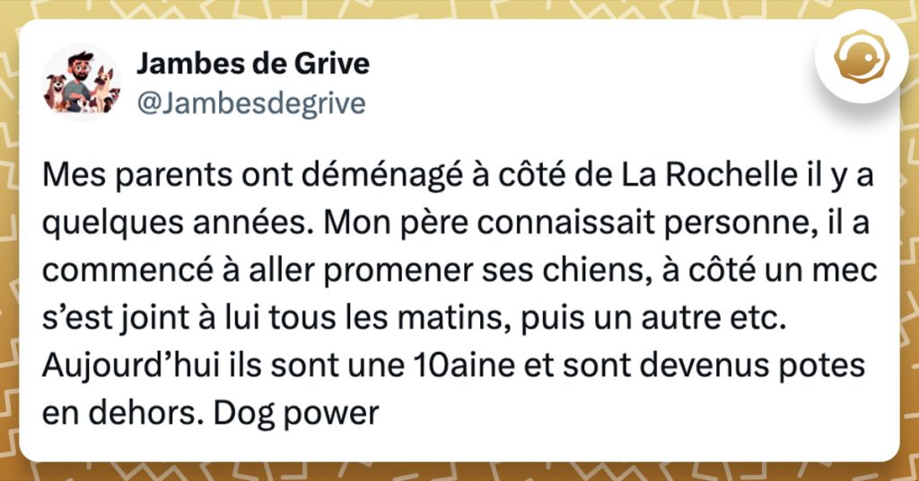 Tweet de @Jambesdegrive : "Mes parents ont déménagé à côté de La Rochelle il y a quelques années. Mon père connaissait personne, il a commencé à aller promener ses chiens, à côté un mec s’est joint à lui tous les matins, puis un autre etc. Aujourd’hui ils sont une 10aine et sont devenus potes en dehors. Dog power"