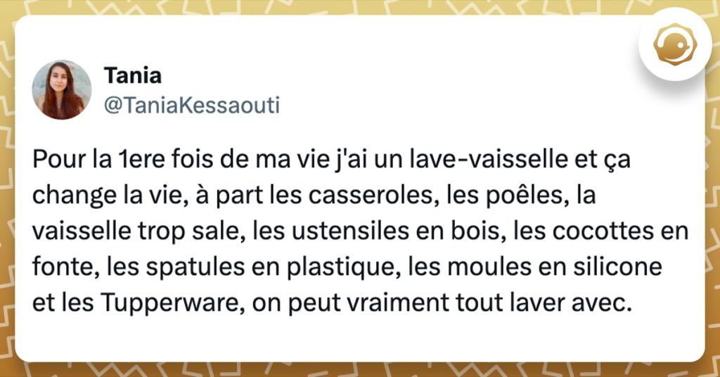 Tweet de @TaniaKessaouti : "Pour la 1ere fois de ma vie j'ai un lave-vaisselle et ça change la vie, à part les casseroles, les poêles, la vaisselle trop sale, les ustensiles en bois, les cocottes en fonte, les spatules en plastique, les moules en silicone et les Tupperware, on peut vraiment tout laver avec."