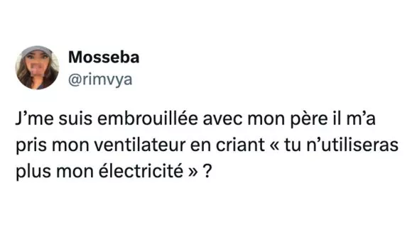 Image de couverture de l'article : Top 15 des meilleurs posts sur le ventilateur, notre meilleur ami en été