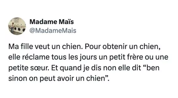 Image de couverture de l'article : La vérité sort de la bouche des enfants #50