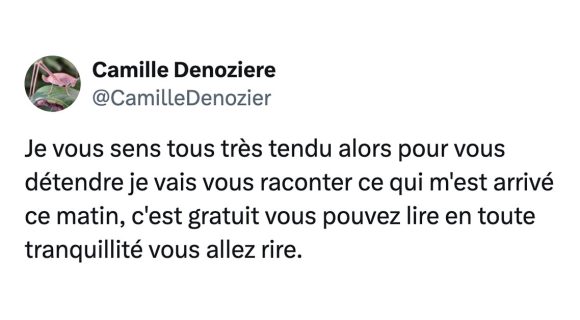 Image de couverture de l'article : La poule et la chasse d’eau : l’histoire la plus drôle de la semaine