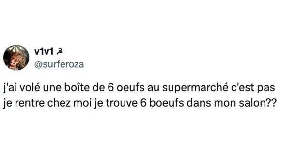 Image de couverture de l'article : Top 15 des meilleurs tweets sur vos vols en supermarchés