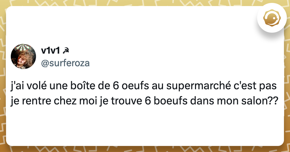 @surferoza j'ai volé une boîte de 6 oeufs au supermarché c'est pas je rentre chez moi je trouve 6 boeufs dans mon salon??