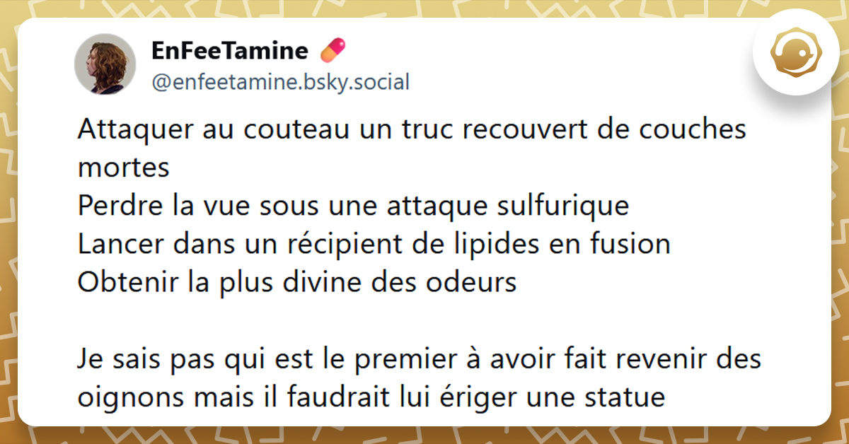 Post liseré de jaune de @enfeetamine disant "Attaquer au couteau un truc recouvert de couches mortes Perdre la vue sous une attaque sulfurique Lancer dans un récipient de lipides en fusion Obtenir la plus divine des odeurs Je sais pas qui est le premier à avoir fait revenir des oignons mais il faudrait lui ériger une statue"