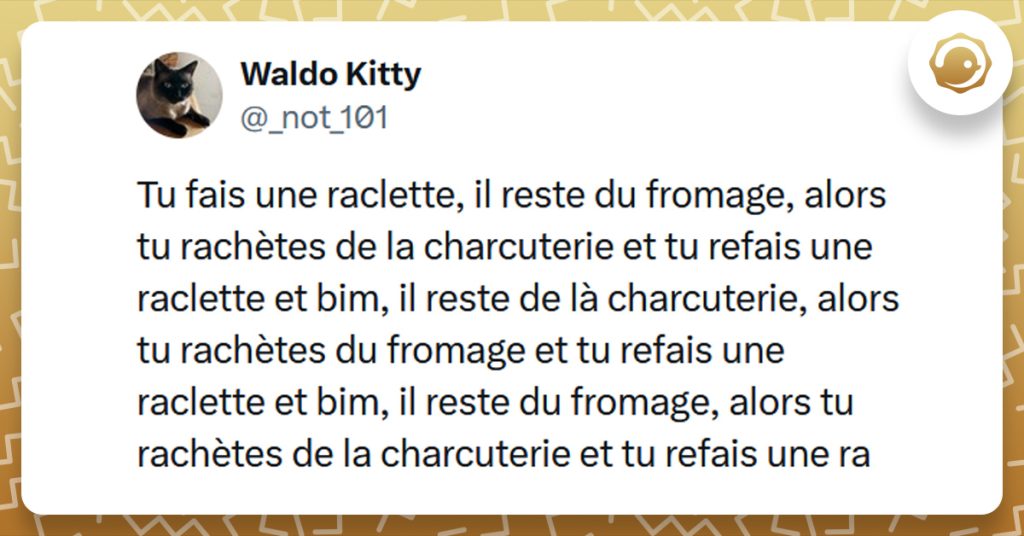 Tweet liseré de jaune de @_not_101 disant "Tu fais une raclette, il reste du fromage, alors tu rachètes de la charcuterie et tu refais une raclette et bim, il reste de là charcuterie, alors tu rachètes du fromage et tu refais une raclette et bim, il reste du fromage, alors tu rachètes de la charcuterie et tu refais une ra"