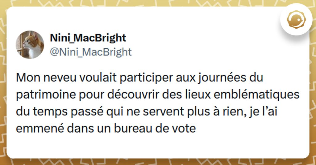 Tweet liseré de jaune de @Nini_MacBright disant "Mon neveu voulait participer aux journées du patrimoine pour découvrir des lieux emblématiques du temps passé qui ne servent plus à rien, je l’ai emmené dans un bureau de vote"