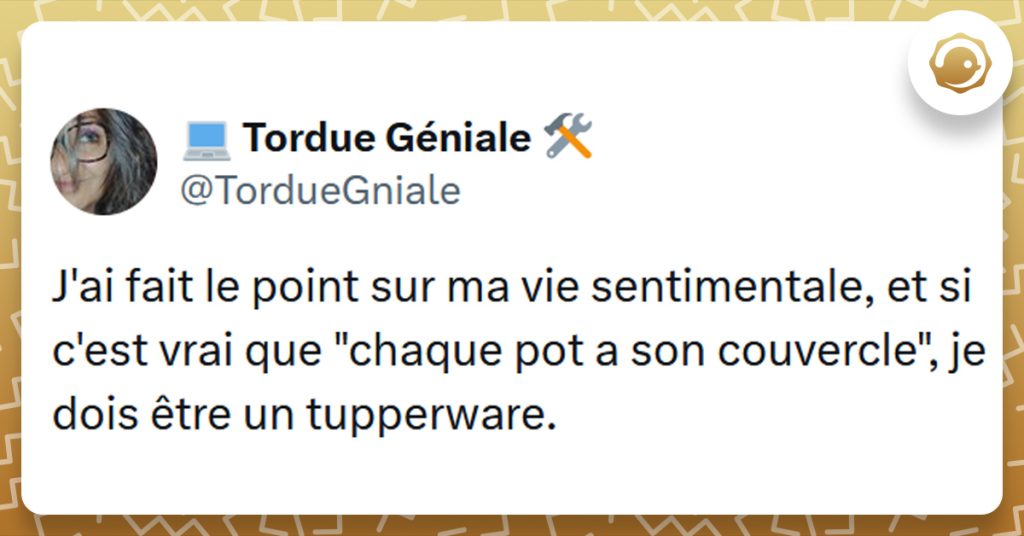 Tweet liseré de jaune de @TordueGniale disant "J'ai fait le point sur ma vie sentimentale, et si c'est vrai que "chaque pot a son couvercle", je dois être un tupperware."