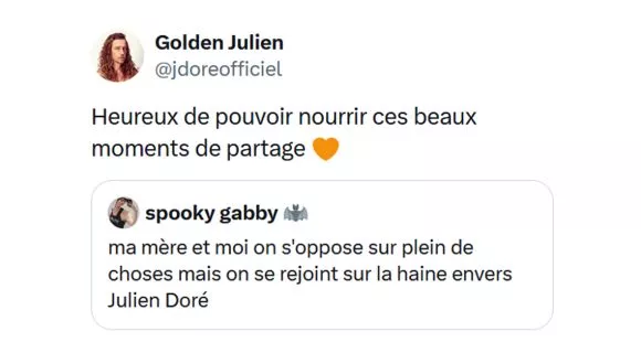 Image de couverture de l'article : Top 15 des tweets les plus drôles de Julien Doré, ce poti blagueur